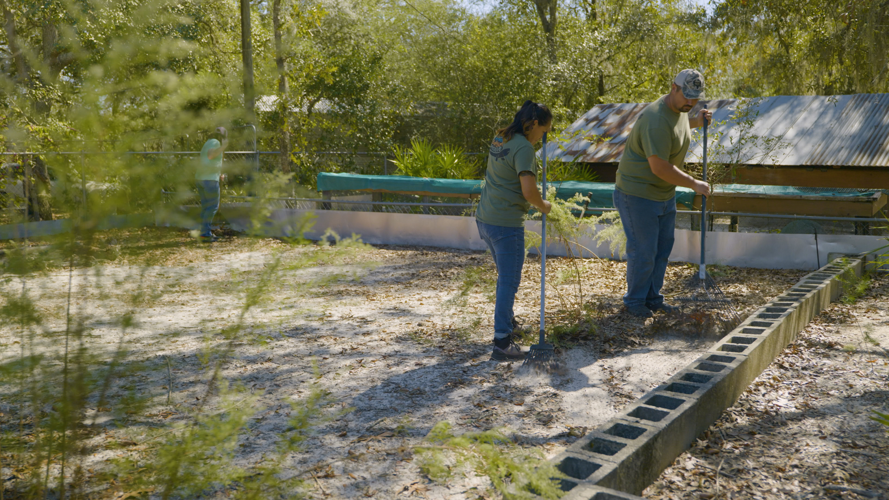 Volunteers raking at the Ashton Biological Preserve
